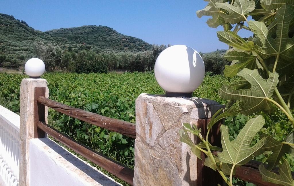 Appart hôtel Zantegarden Alykanas (Zakynthos)